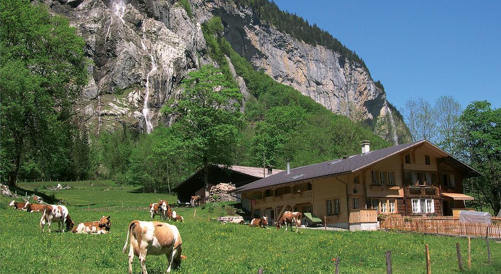 Camping Jungfrau Hotell Lauterbrunnen Exteriör bild